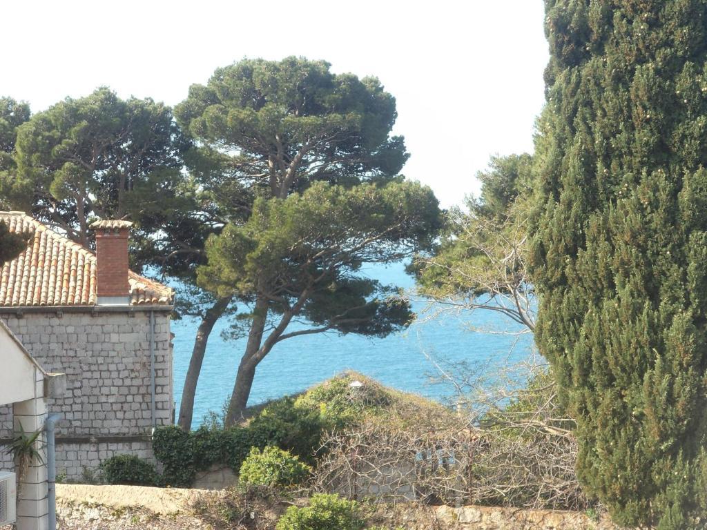 Elly Guest house 3*